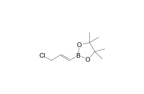 (E)-3-Chloro-1-propenyboronic acid pinacol ester