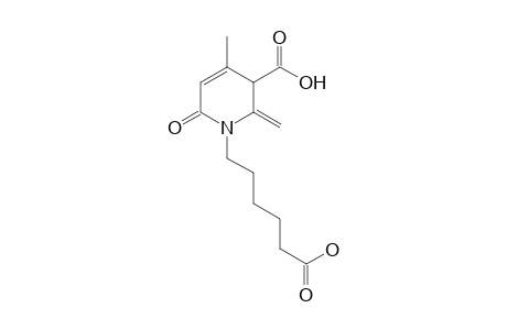 1-(5-carboxypentyl)-4-methyl-2-methylene-6-oxo-1,2,3,6-tetrahydronicotinic acid