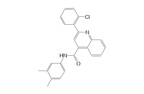2-(2-chlorophenyl)-N-(3,4-dimethylphenyl)-4-quinolinecarboxamide
