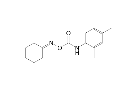 cyclohexanone, O-[(2,4-xylyl)carbamoyl]oxime