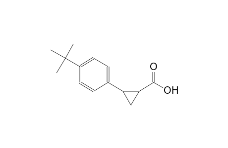 2-(4-tert-butylphenyl)cyclopropanecarboxylic acid