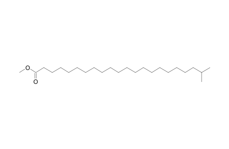 Methyl 21-methyldocosanoate