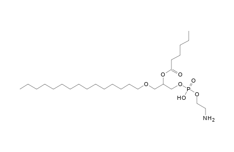 PE O-15:0_6:0