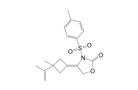 4-(3-Isopropenyl-3-methylcyclobutylidene)-3-p-toluenesulfonyloxazolidin-2-one