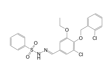 N'-((E)-{3-chloro-4-[(2-chlorobenzyl)oxy]-5-ethoxyphenyl}methylidene)benzenesulfonohydrazide