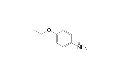 Phenacetin MS3_1