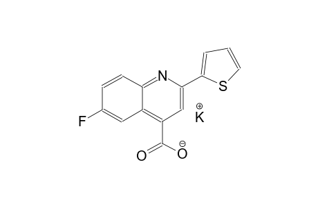 potassium 6-fluoro-2-(2-thienyl)-4-quinolinecarboxylate