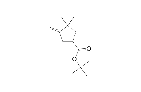 tert-Butyl 3,3-dimethyl-4-methylenecyclopentanecarboxylate