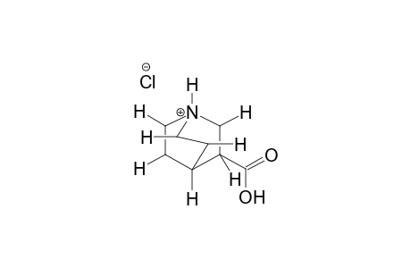 QUINUCLIDYL-3-CARBOXYLIC ACID, HYDROCHLORIDE