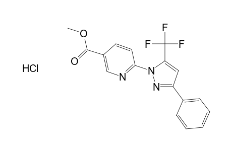 Methyl 6-(5-trifluoromethyl-3-phenyl-1H-pyrazol-1-yl)nicotinate hydrochloride