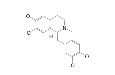 PESSOINE;14S-3-METHOXY-2,10,11-TRIHYDROXYBERBINE