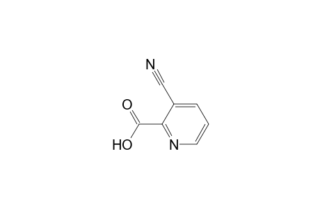 3-Cyanopyridine-2-carboxylic acid