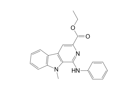 9H-Pyrido[3,4-b]indole-3-carboxylic acid, 9-methyl-1-(phenylamino)-, ethyl ester