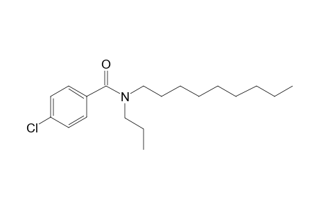 Benzamide, 4-chloro-N-propyl-N-nonyl-