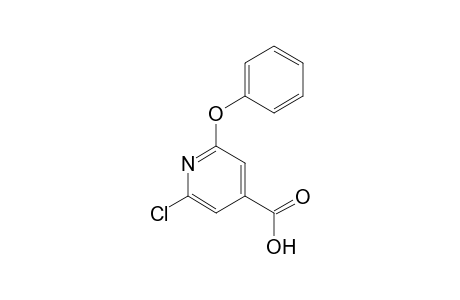 2-Chloro-6-phenoxyisonicotinic acid
