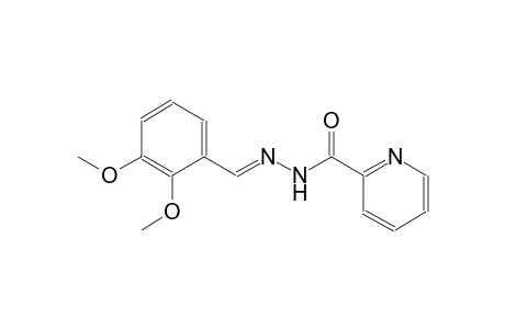 2-pyridinecarboxylic acid, 2-[(E)-(2,3-dimethoxyphenyl)methylidene]hydrazide