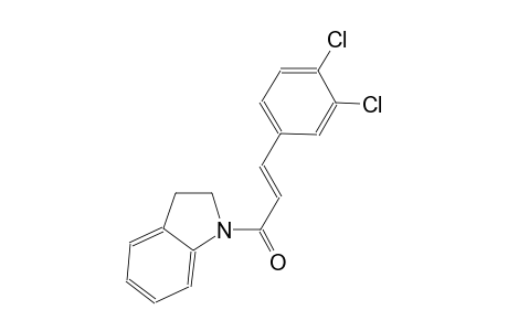 1-[(2E)-3-(3,4-dichlorophenyl)-2-propenoyl]indoline