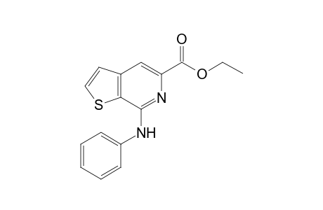 7-Phenylamino-thieno[2,3-c]pyridine-5-carboxylic acid ethyl ester