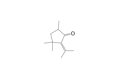 Cyclopentanone, 2-isopropylidene-3,3,5-trimethyl-