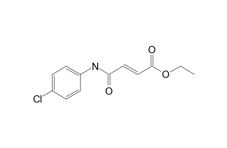 Fumaric acid, monoamide, N-(4-chlorophenyl)-, ethyl ester