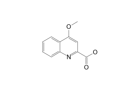 4-Methoxy-2-quinolinecarboxylic acid