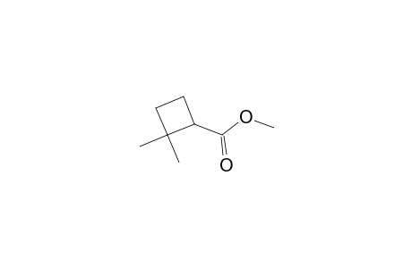 Cyclobutanecarboxylic acid, 2,2-dimethyl-, methyl ester