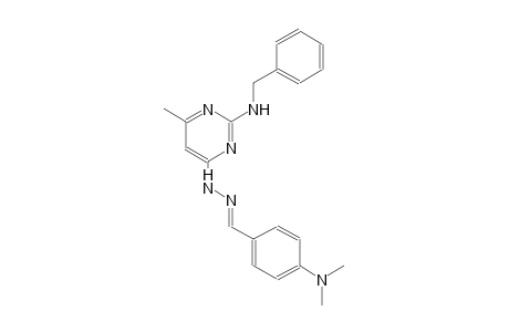 4-(dimethylamino)benzaldehyde [2-(benzylamino)-6-methyl-4-pyrimidinyl]hydrazone