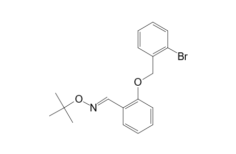 2-(2-BROMOBENZYLOXY)-BENZALDEHYDE-O-TERT.-BUTYLOXIME