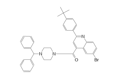 4-[(4-benzhydryl-1-piperazinyl)carbonyl]-6-bromo-2-(4-tert-butylphenyl)quinoline