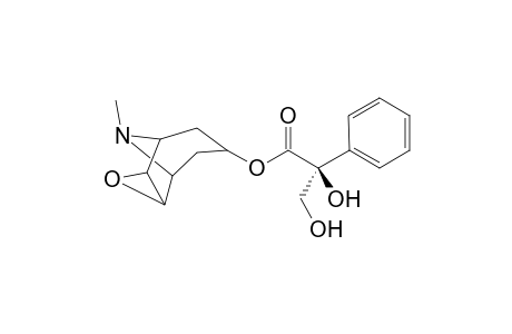 (-)-anisodine