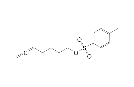 Hepta-5,6-dien-1-yl 4-methylbenzenesulfonate
