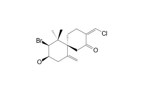 DENDROIDONE