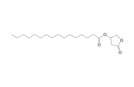 Palmitylcarnitine oxylactone