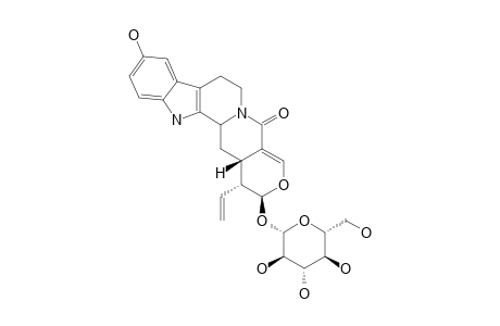 10-HYDROXYSTRICTOSIDINE-LACTAM