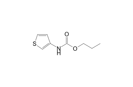 propyl (thiophen-3-yl)carbamate