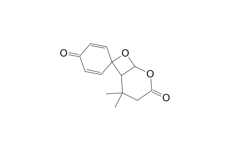 2,2-Dimethylspiro[5,7-dioxabicyclo[4.2.0]octane-8,4'-cyclohexa-2,5-diene]-1',4-dione