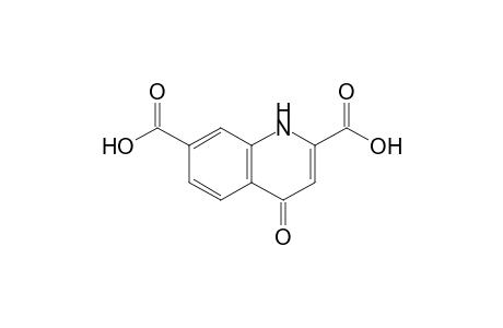 4-keto-1H-quinoline-2,7-dicarboxylic acid