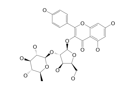 ARAPETALOSIDE-B;KAEMPFEROL-3-O-ALPHA-L-RHAMNOPYRANOSYL-(1->2)-ALPHA-L-ARABINOFURANOSIDE