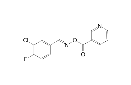 Pyridine-3-carboxylic acid, (3-chloro-4-fluorobenzyliden)amino ester