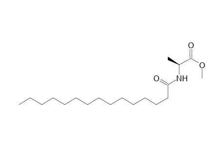 (S)-N-(Pentadecanoyl)alanine Methyl Ester