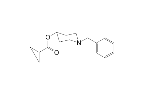 1-Benzylpiperidin-4-yl cyclopropanecarboxylate