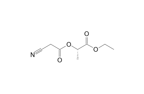 1'(S)-Ethoxycarbonylethyl cyanoacetate
