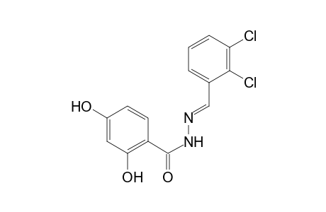 2,4-Dihydroxybenzoic acid, (2,3-dichlorobenzylidene)hydrazide