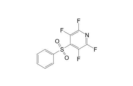 4-Benzenesulfonyl-2,3,5,6-tetrafluoropyridine