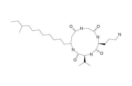 CYCLO-(-GLY-L-ORN-L-VAL-3-AMINO-12-METHYL-TETRADECANOYL-);RHODOPEPTIN-C4
