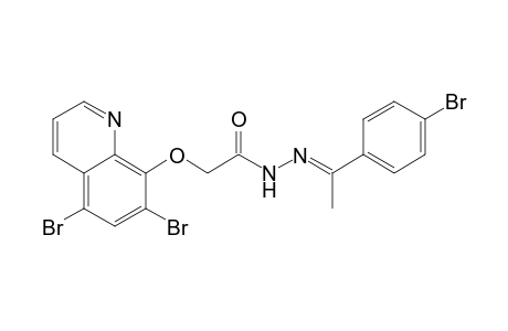 (E)-N'-(1-(4-bromophenyl)ethylidene)-2-((5,7-dibromoquinolin-8-yl)oxy)acetohydrazide