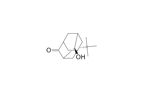2(e)-t-butyl-4-oxoadamantan-2(a)-ol