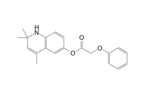 acetic acid, phenoxy-, 1,2-dihydro-2,2,4-trimethyl-6-quinolinyl ester