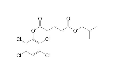 Glutaric acid, isobutyl 2,3,5,6-tetrachlorophenyl ester