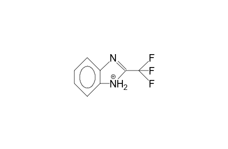 2-Trifluoromethyl-benzimidazole cation